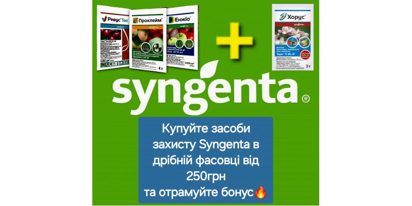 Акція - Хорус у подарунок.