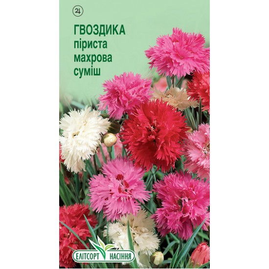 Гвоздика піриста махрова суміш 0.1г